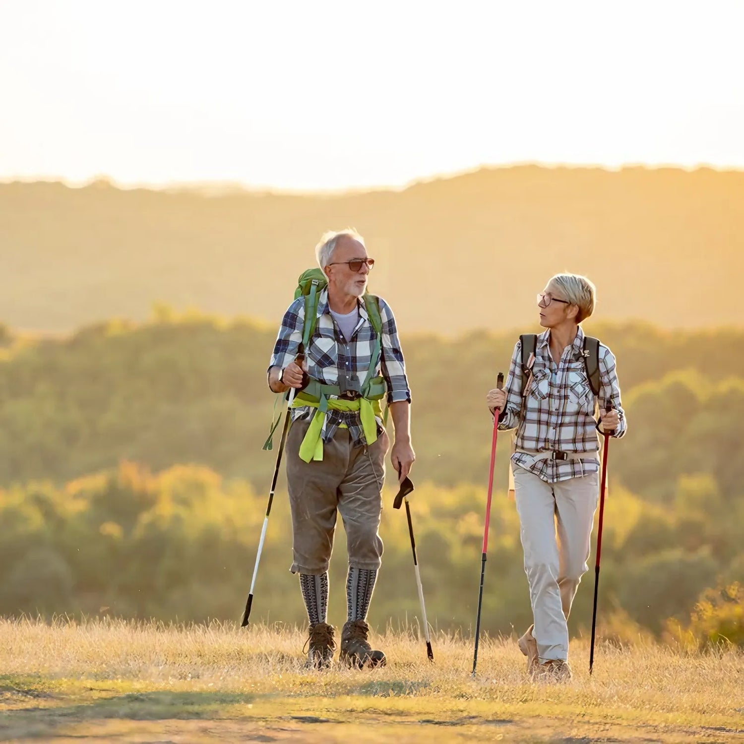 Hiking Poles